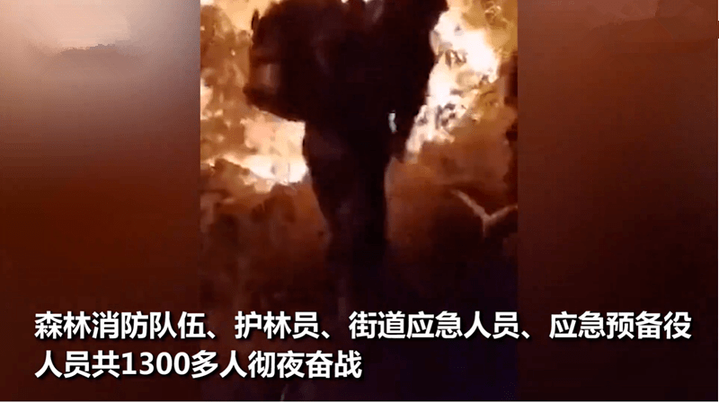 肇庆羚羊峡山火，早期报道与应对措施