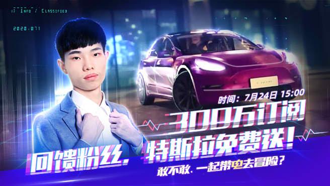 特斯拉皮肤获取方式深度解析