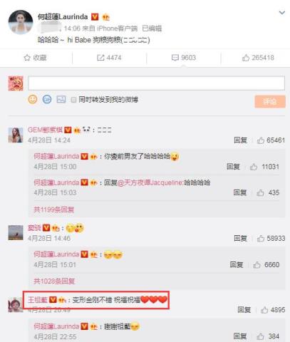 公评网早期版本的历史沿革及其影响分析