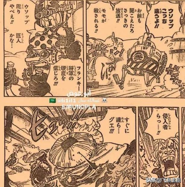 海贼王情报986，开启未知冒险世界的探索之旅