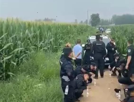 河北任丘绑架案事件深度解析