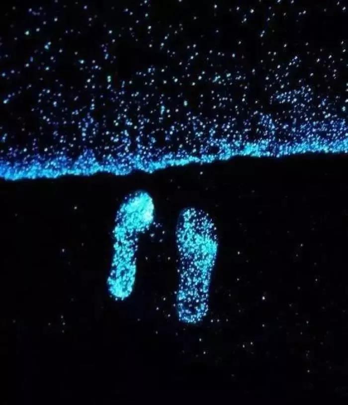 双月湾盛夏七月天气初体验，独特之美尽在早期时光