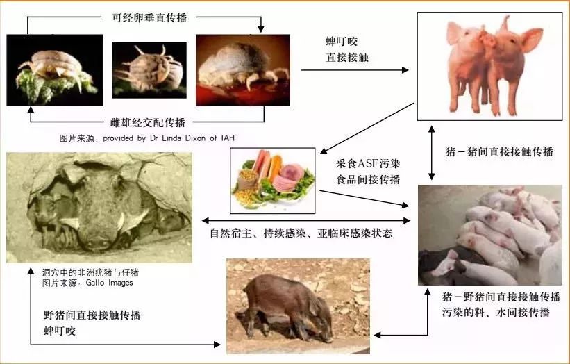 福志 第2页