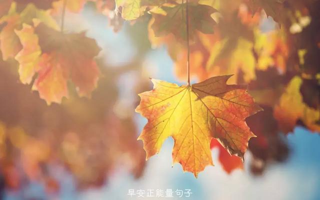 秋日温馨早安图片集锦