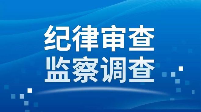 纪律审查揭秘，探寻真相的探索之旅