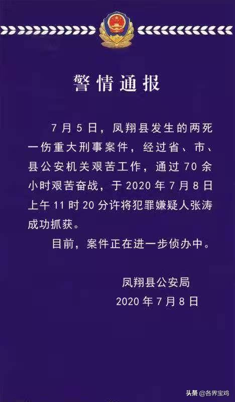 凤翔705刑事案件早期情况分析