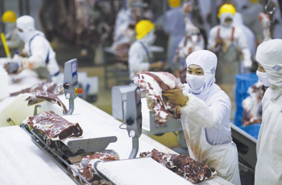 疫情起源揭秘与应对之道，肉类加工厂疫情初探