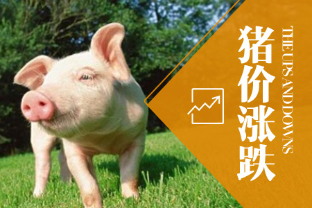 全国猪五月行情分析预测报告