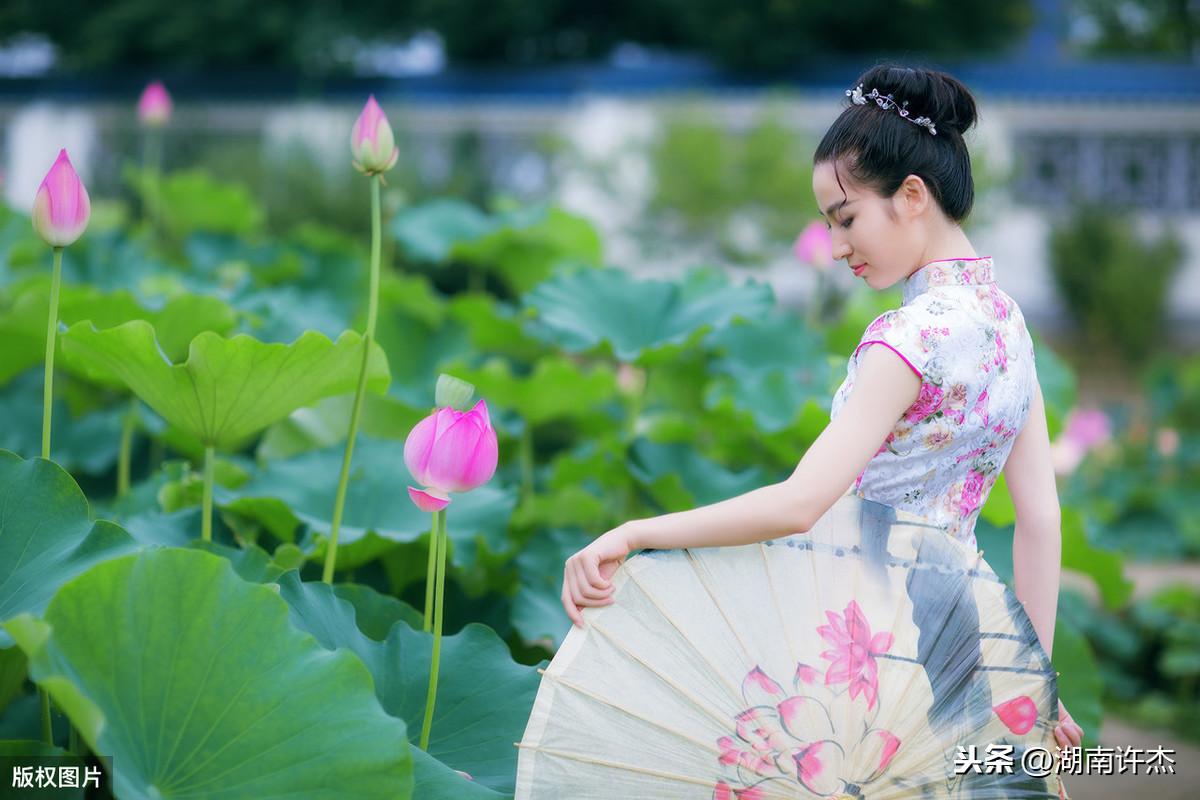 摇曳花瓣爱落泪，情感交织的初见故事