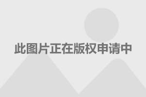 傅园慧早期崭露头角，泳坛新星闪耀启幕