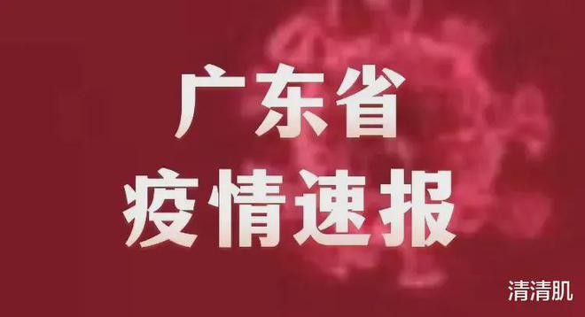 广东疫情初现阴霾至全面防控的历程通报