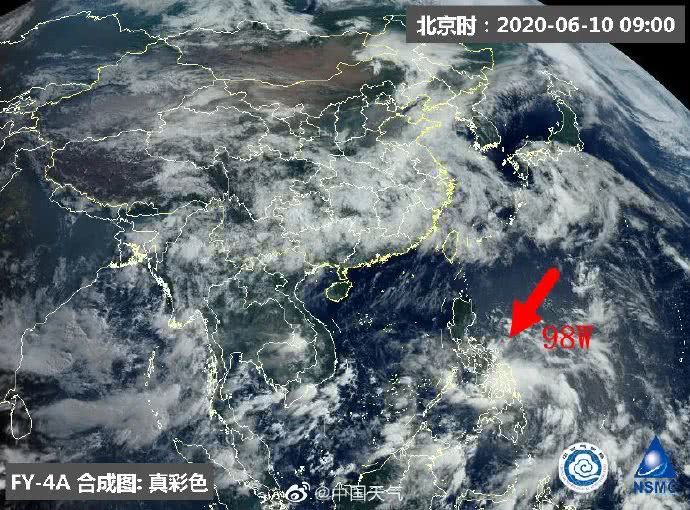 台风网鹦鹉最新动态首发报道