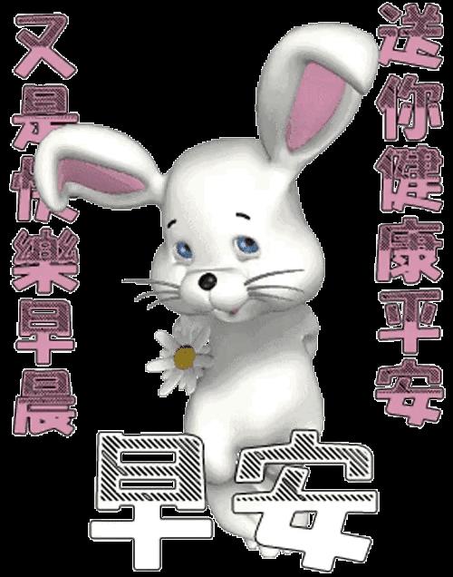 数字时代的无声交流艺术，早期问候动态表情图片探索