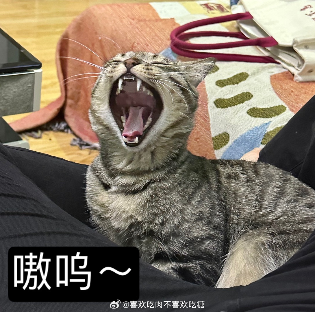 顺金