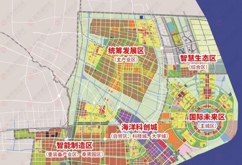上海临港区早期政策，引领区域发展的先锋力量典范