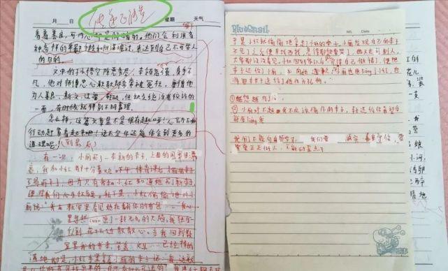 羽姗