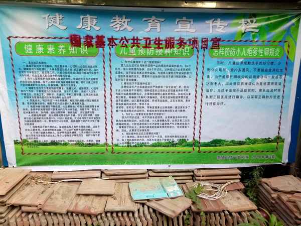 健康教育，早期进展、历史回顾与未来展望