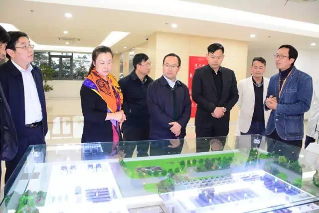 斐讯早期进展及其深远影响