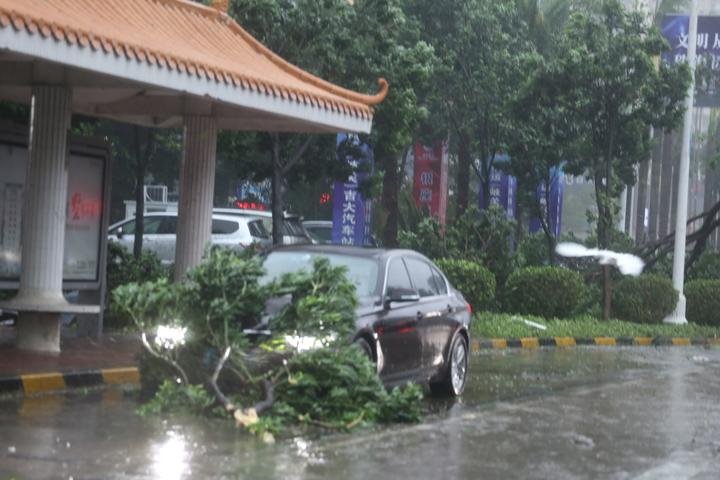 维谣