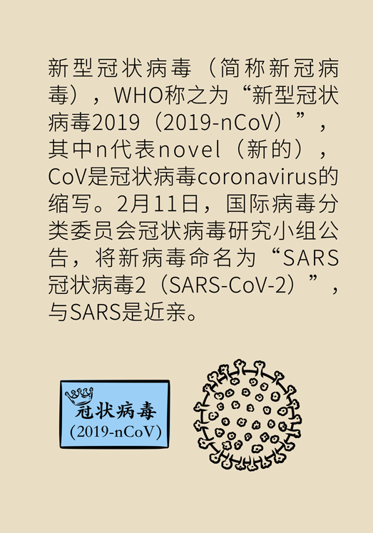 新型冠状病毒肺炎的起源、发展与防控研究概览
