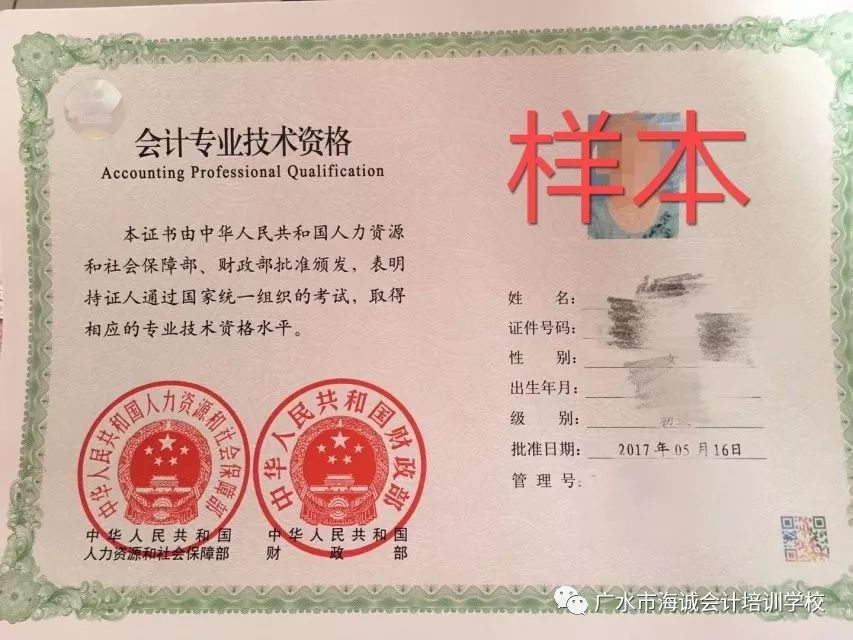 广东省初级会计，历史沿革与发展现状概览