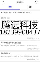 淘优乐最新动态，揭晓未来商业模式神秘面纱